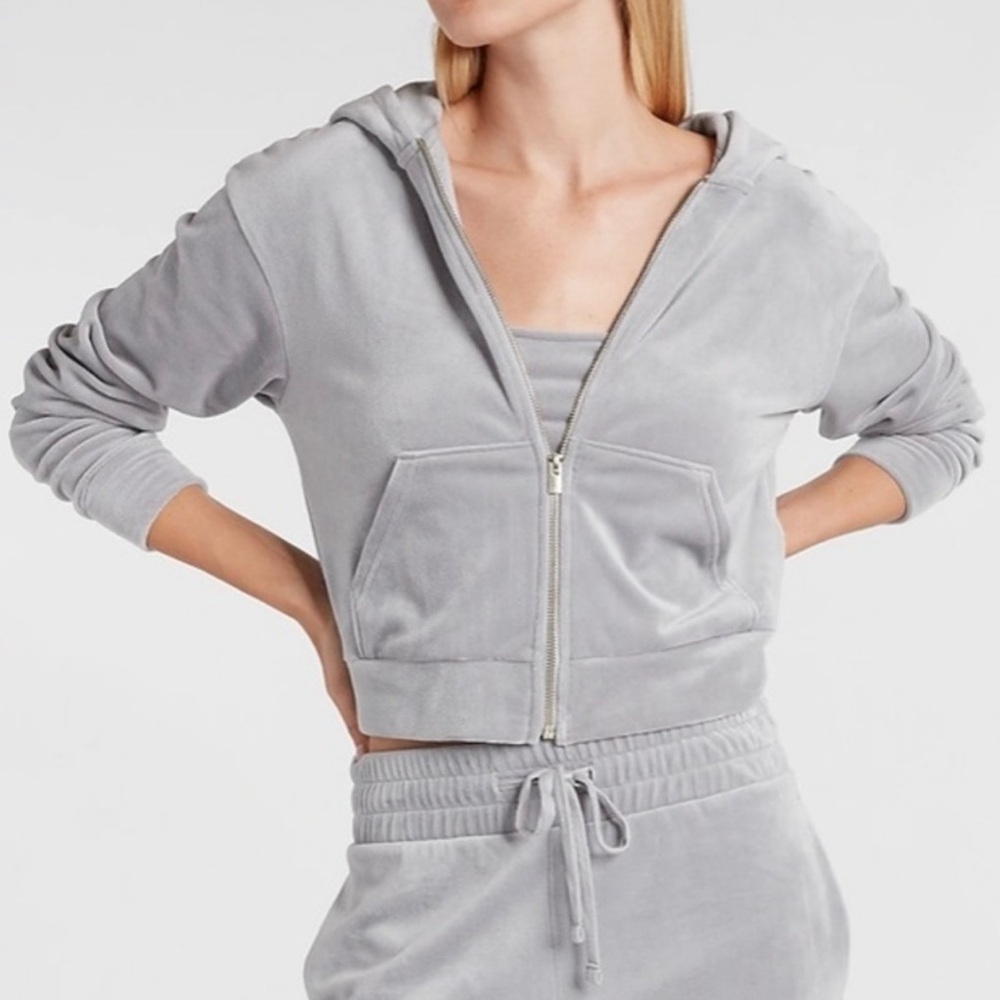 Express velour zip up hoodie, size large, in gray/purple color